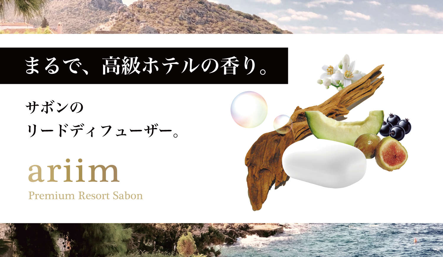 テキスト